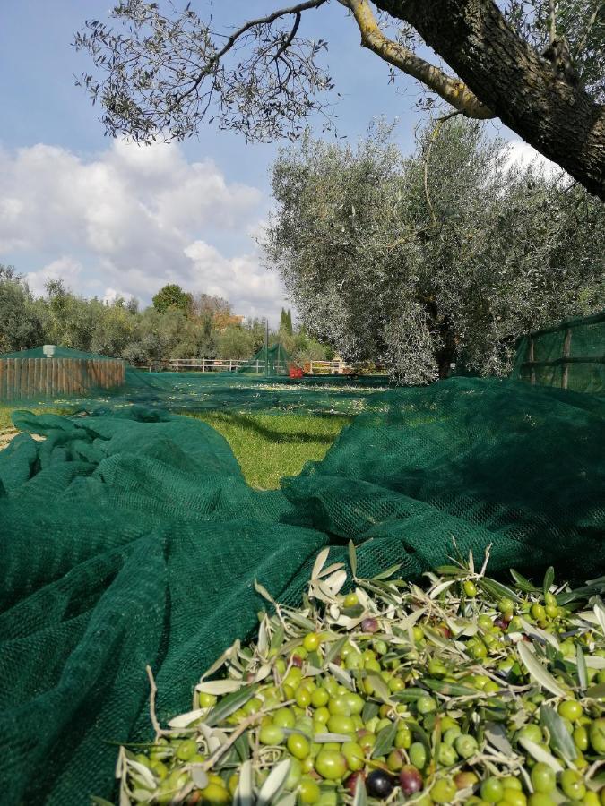 Il Podere Di Sole Роккастрада Экстерьер фото