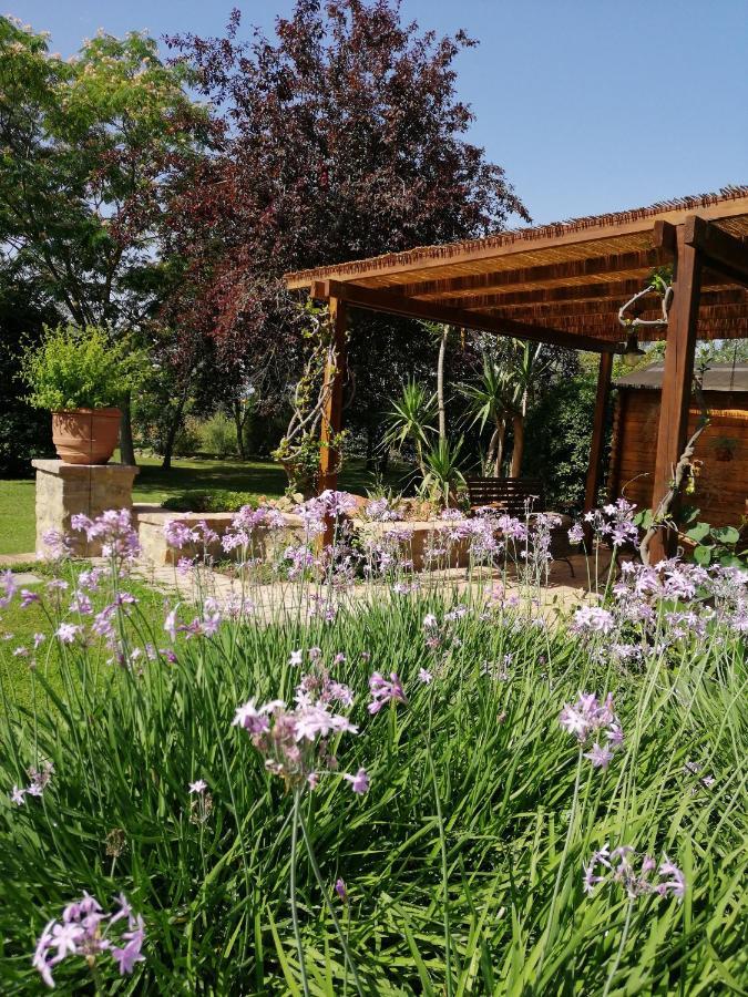Il Podere Di Sole Роккастрада Экстерьер фото